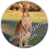 Trivia Spin Level 946 Australia