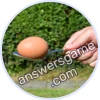 Trivia Spin Level 12 Egg & spoon race
