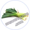 Trivia Spin Level 13 Leek