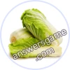 Trivia Spin Level 13 Napa cabbage