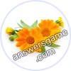 Trivia Spin Level 21 Calendula