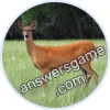 Trivia Spin Level 16 Bambi's Mum