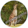 Trivia Spin Level 16 Kanga