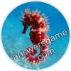 Trivia Spin Level 1 Seahorse