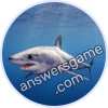 Trivia Spin Level 12 Mako shark