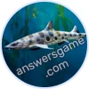 Trivia Spin Level 12 Leopard shark