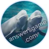 Trivia Spin Level 18 Beluga whale