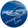 Trivia Spin Level 18 Hump back whale