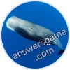 Trivia Spin Level 18 Sperm whale