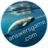 Trivia Spin Level 18 Narwhal