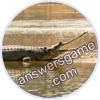 Trivia Spin Level 24 Indian gharial