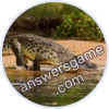 Trivia Spin Level 24 Nile crocodile