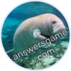 Trivia Spin Level 6 Manatee
