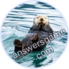 Trivia Spin Level 6 Sea otter