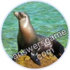 Trivia Spin Level 6 Sea lion