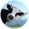 Trivia Spin Level 16 Atom Heart Mother