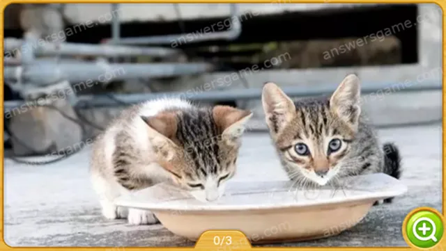 Word Heaps Pic Poziom 1