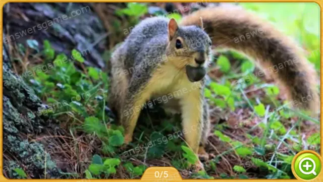 Word Heaps Pic Level 102