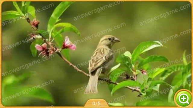 Word Heaps Pic Level 104