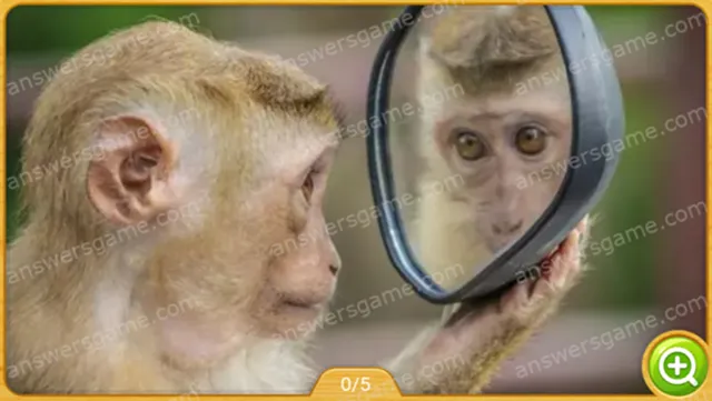 Word Heaps Pic Level 106