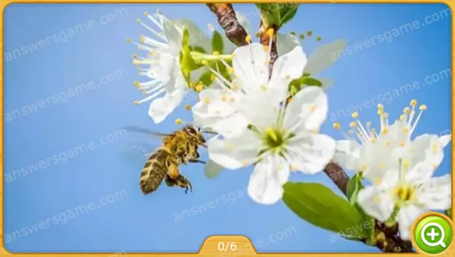 Word Heaps Pic Poziom 117