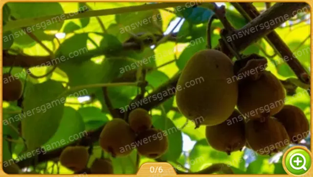 Word Heaps Pic Poziom 123