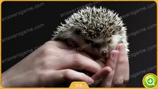 Word Heaps Pic Poziom 127