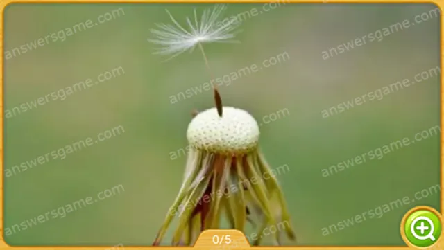 Word Heaps Pic Level 152