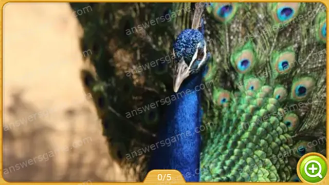 Word Heaps Pic Level 153