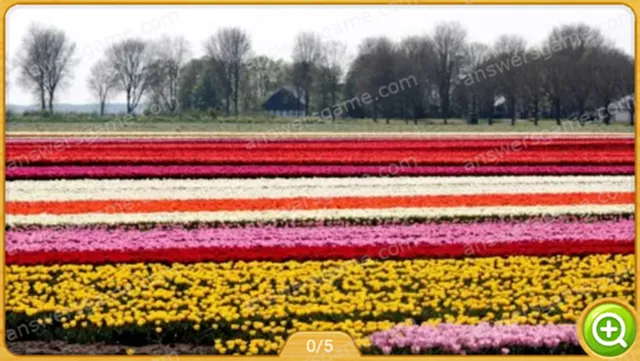 Word Heaps Pic Level 155