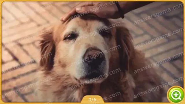 Word Heaps Pic Level 156