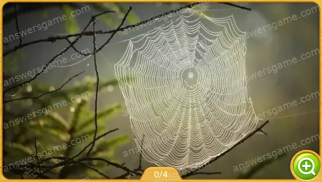 Word Heaps Pic Level 158