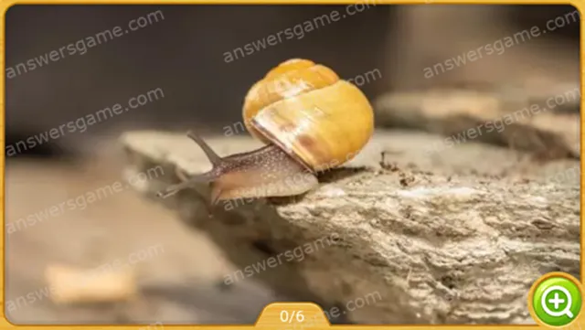 Word Heaps Pic Level 159