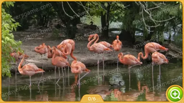 Word Heaps Pic Level 167