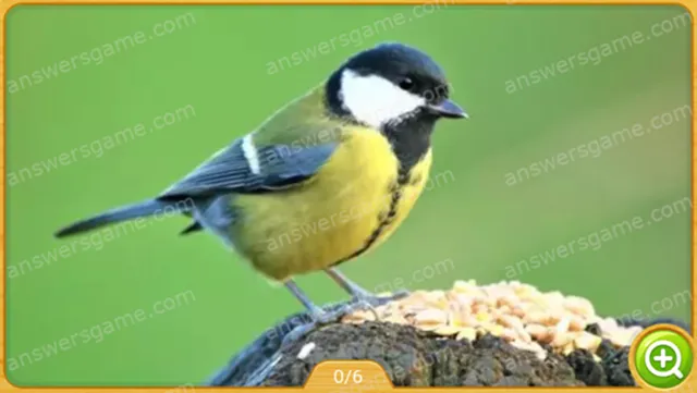 Word Heaps Pic Poziom 175