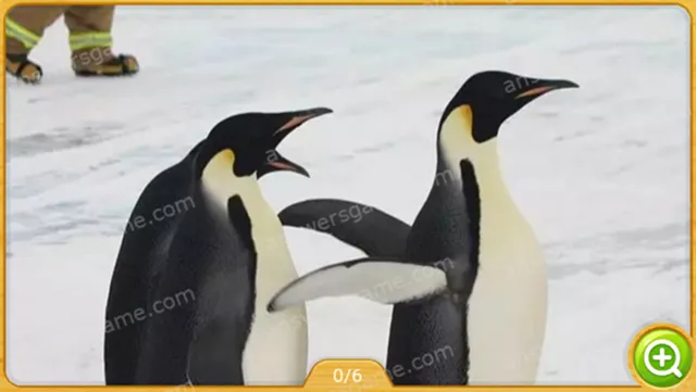 Word Heaps Pic Poziom 176