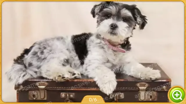 Word Heaps Pic Poziom 178