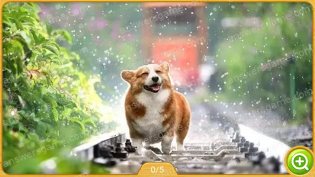 Word Heaps Pic Level 18