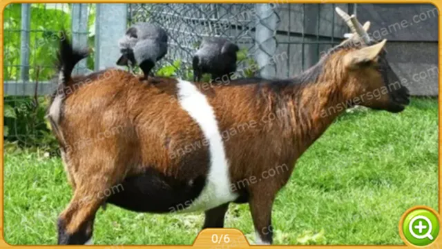 Word Heaps Pic Poziom 182