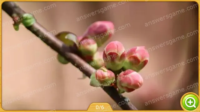 Word Heaps Pic Poziom 184