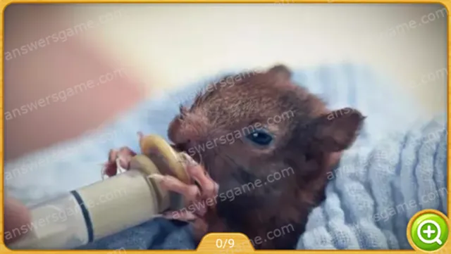 Word Heaps Pic Level 194