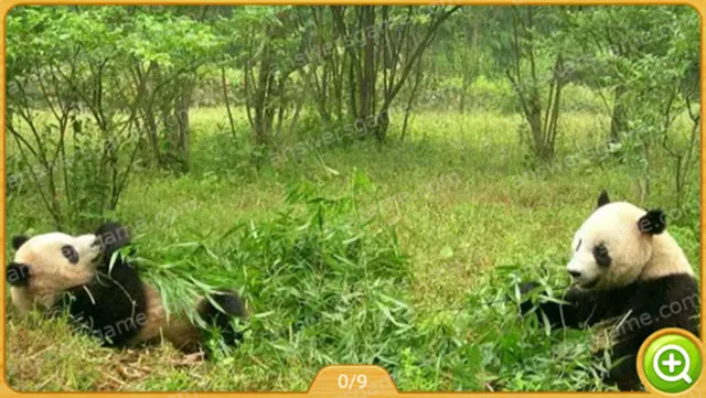 Word Heaps Pic Level 197