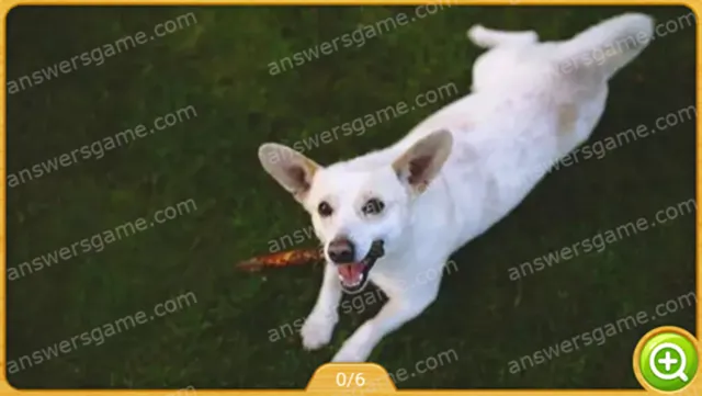 Word Heaps Pic Poziom 216