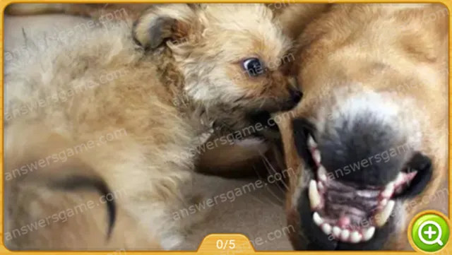 Word Heaps Pic Poziom 223