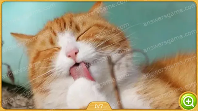 Word Heaps Pic Poziom 228