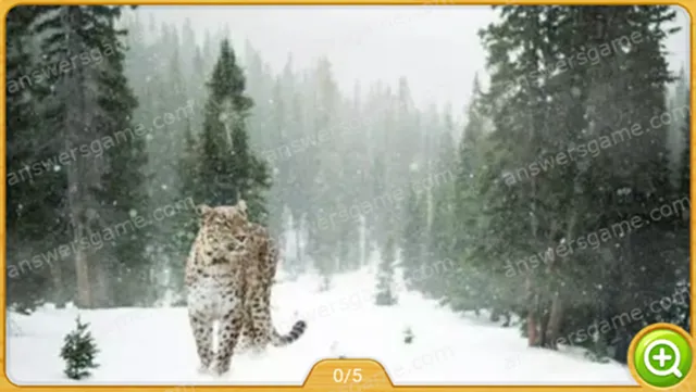 Word Heaps Pic Poziom 244