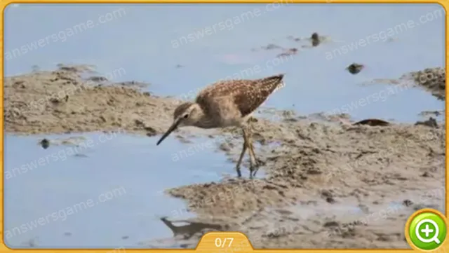 Word Heaps Pic Poziom 245