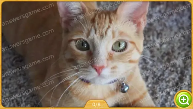 Word Heaps Pic Poziom 250