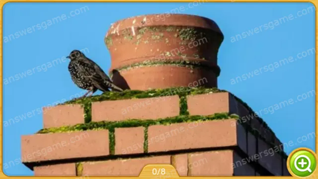 Word Heaps Pic Poziom 257