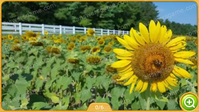 Word Heaps Pic Level 281